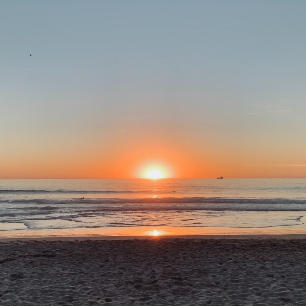 Meet your Posher, Jane